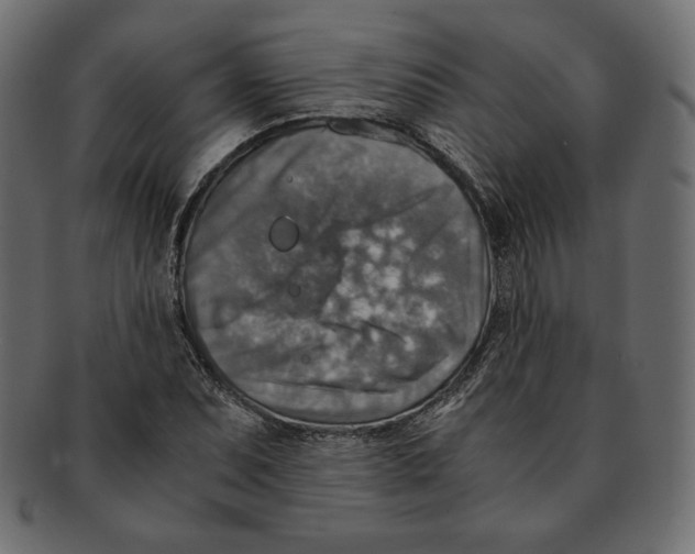 X0000091921071200710031034