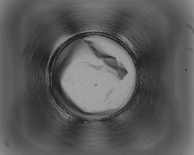 X0000091921072200710031034