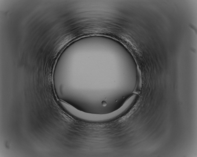 X0000091921073200710031034