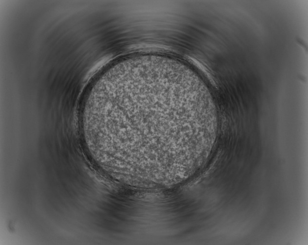 X0000091921074200710031034