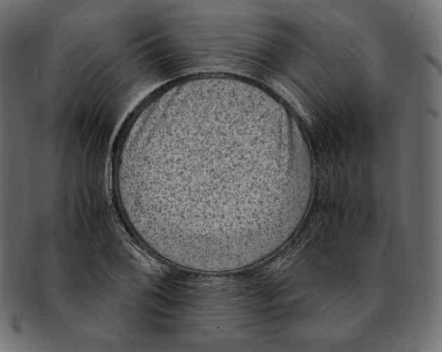 X0000091921076200710031034