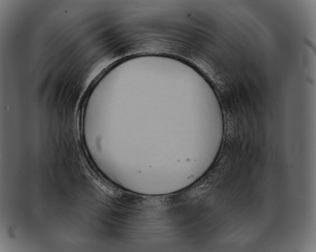 X0000091921078200710031034