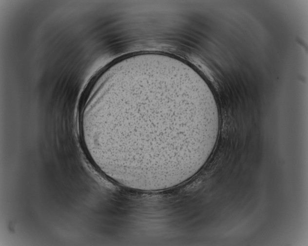 X0000091921080200710031034