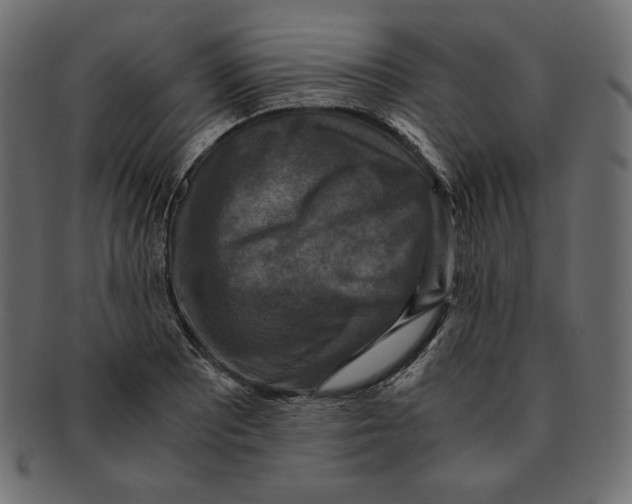 X0000091921081200710031034