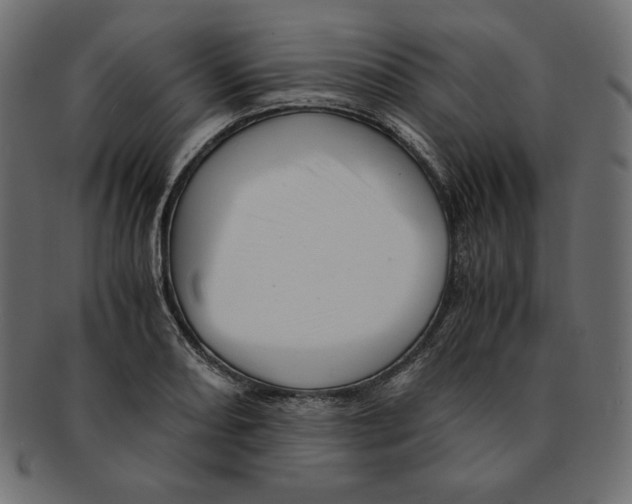 X0000091921082200710031034