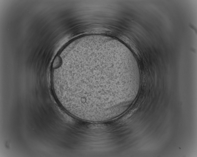 X0000091921083200710031034