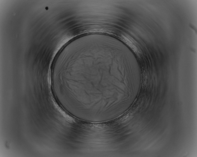 X0000091921084200710031034