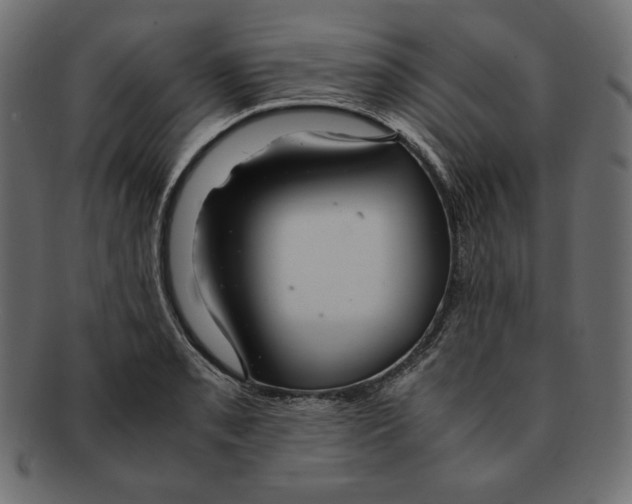 X0000091921085200710031034