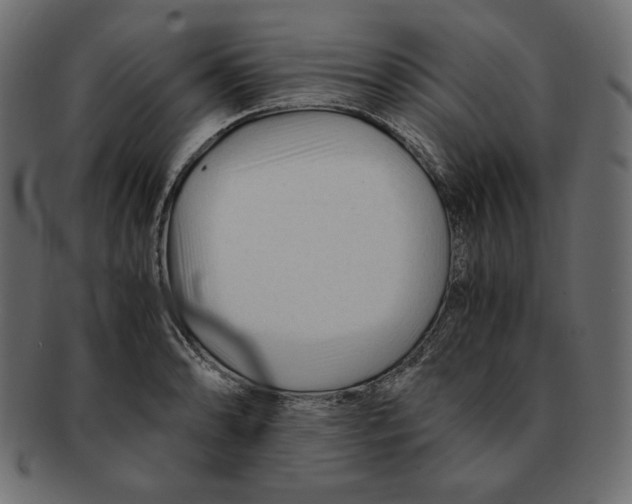 X0000091921086200710031034