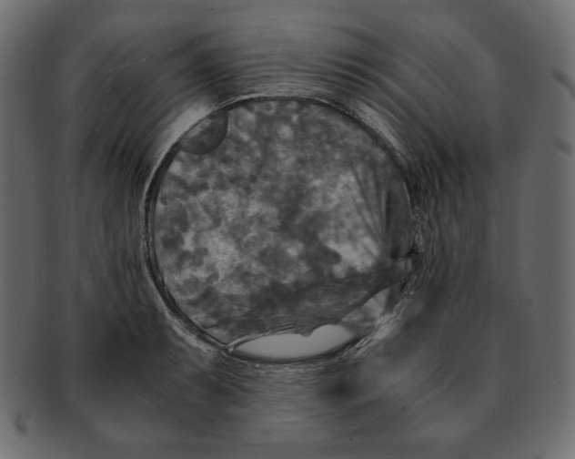 X0000091921087200710031034