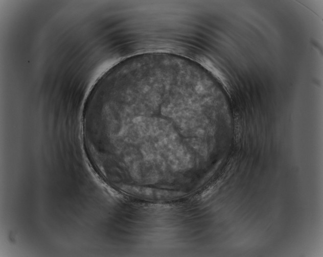 X0000091921088200710031034