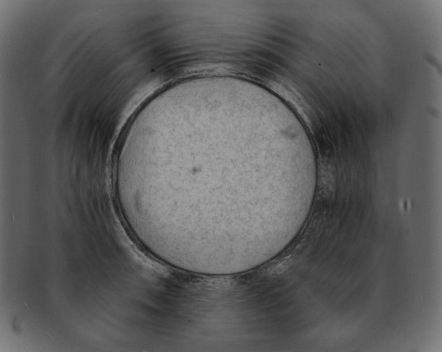 X0000091921090200710031034