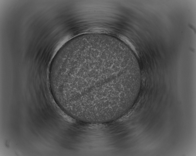 X0000091921091200710031034