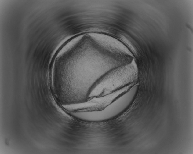 X0000091921092200710031034