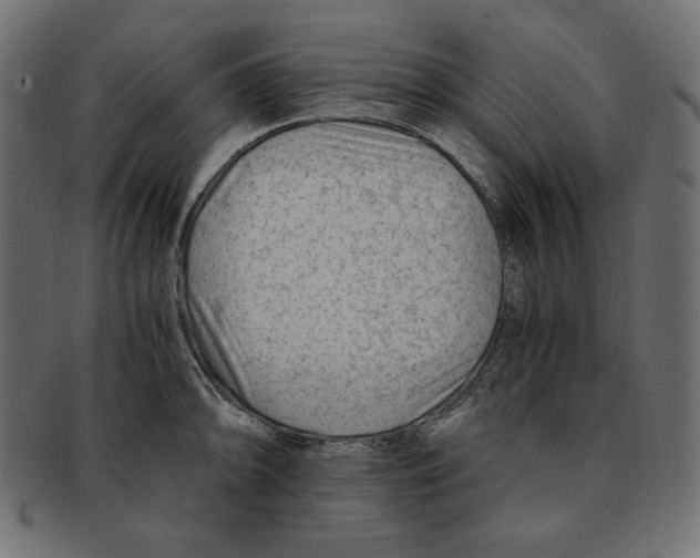 X0000091921094200710031034