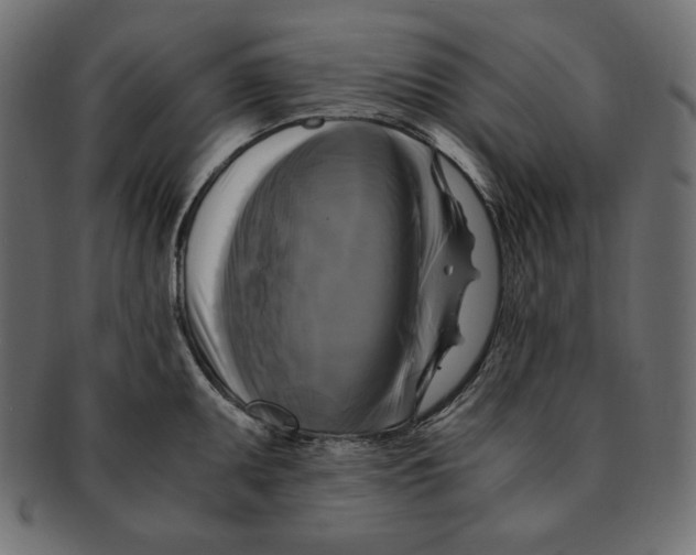 X0000091921095200710031034