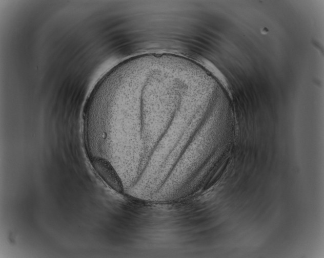 X0000091921096200710031034