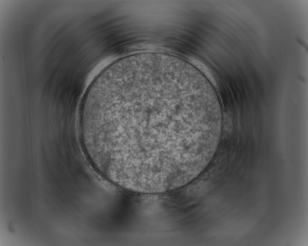 X0000091921098200710031034