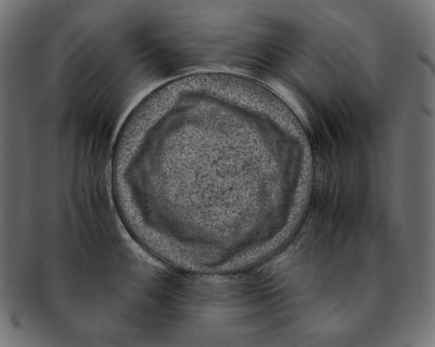X0000091921100200710031034