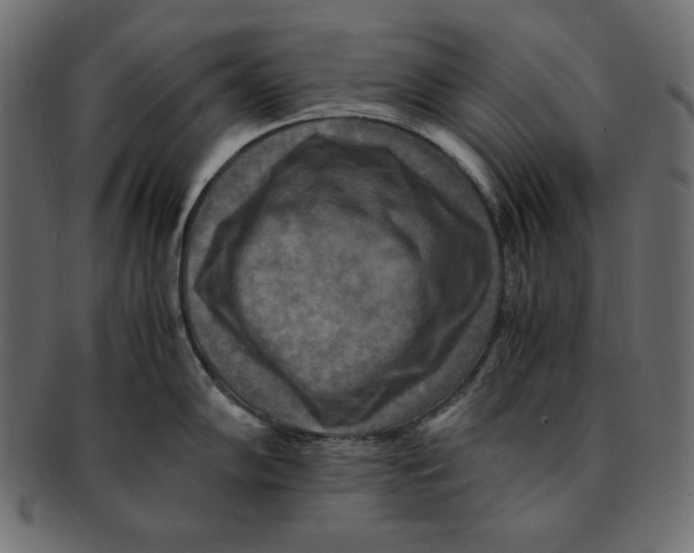 X0000091921102200710031034