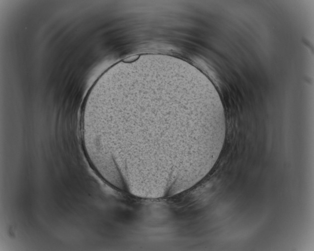 X0000091921103200710031034