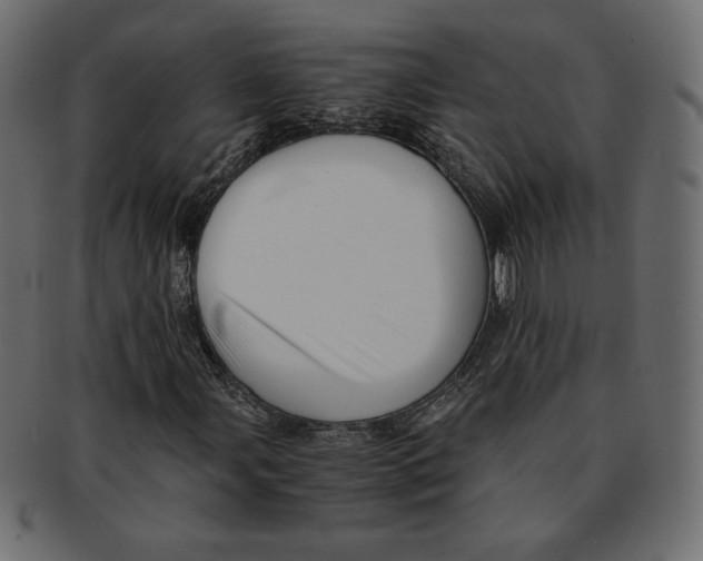 X0000091921107200710031033
