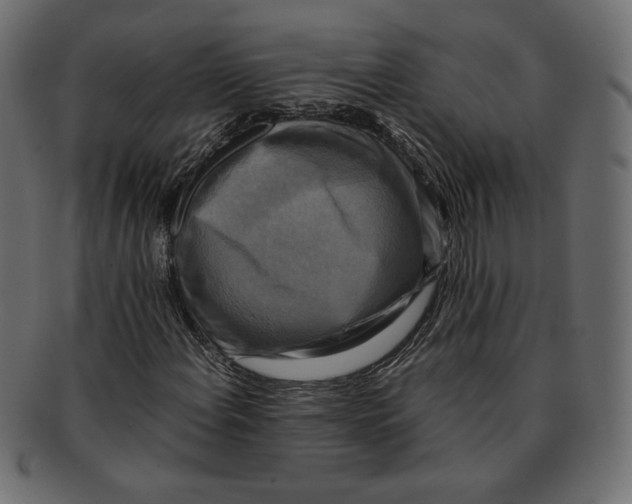 X0000091921108200710031033
