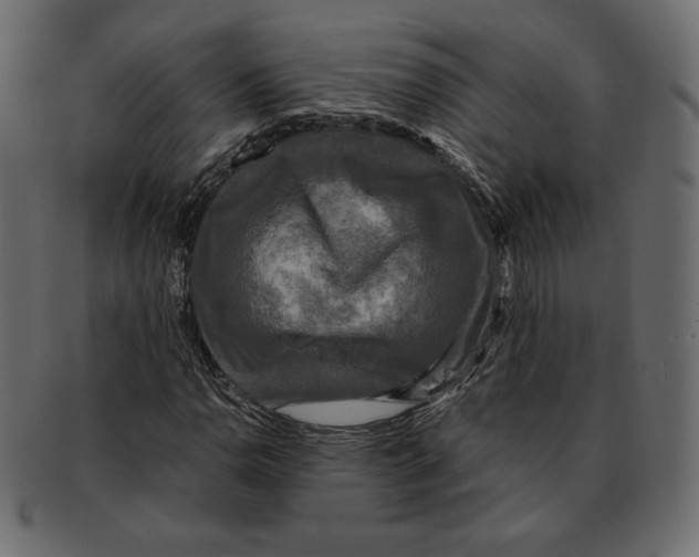 X0000091921110200710031033