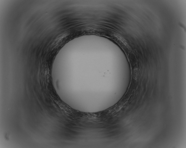 X0000091921111200710031033