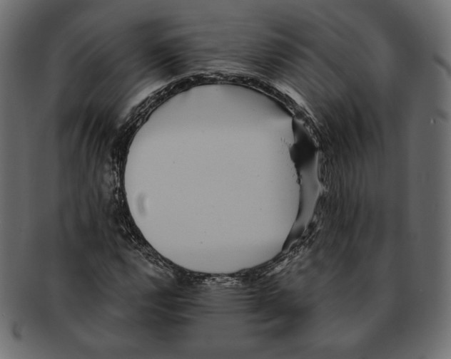 X0000091921112200710031033
