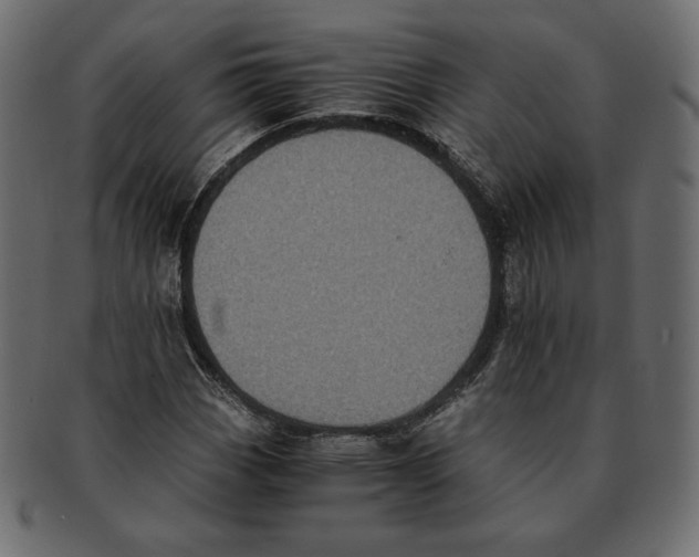 X0000091921113200710031033