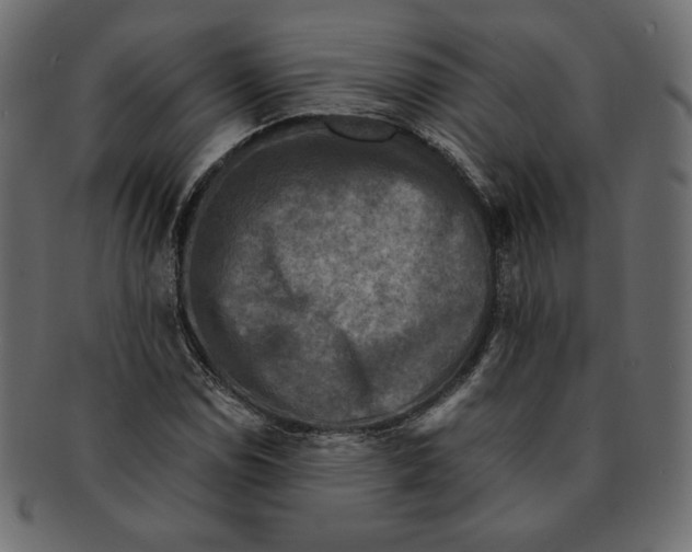 X0000091921114200710031033