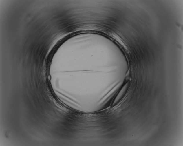X0000091921116200710031033