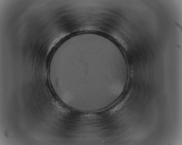 X0000091921117200710031033