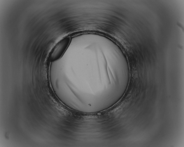 X0000091921118200710031033