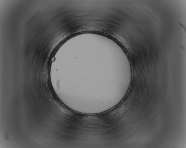 X0000091921119200710031033