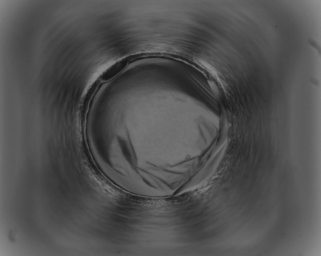 X0000091921120200710031033