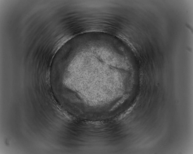 X0000091921121200710031033