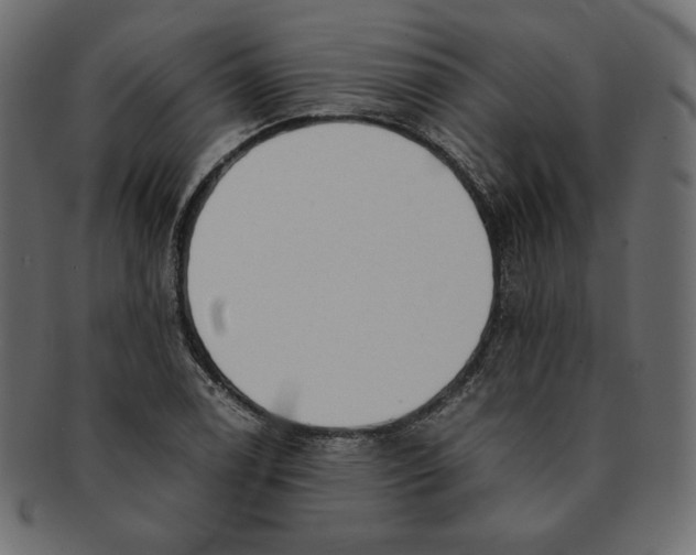 X0000091921122200710031033