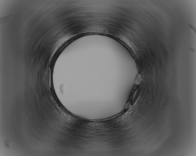 X0000091921123200710031033