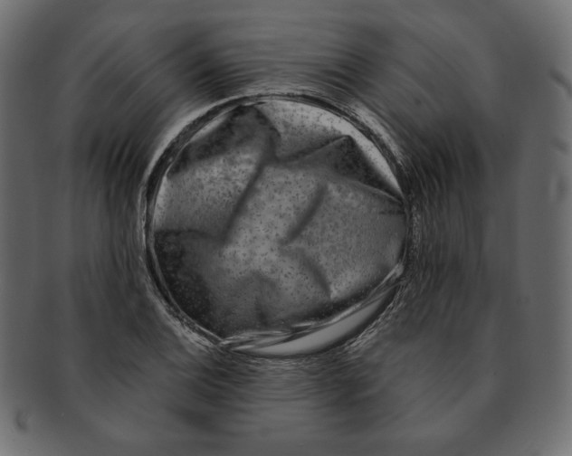 X0000091921124200710031033