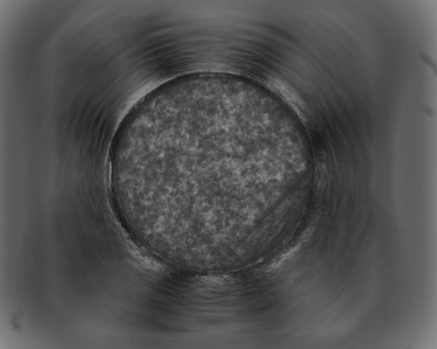 X0000091921125200710031033