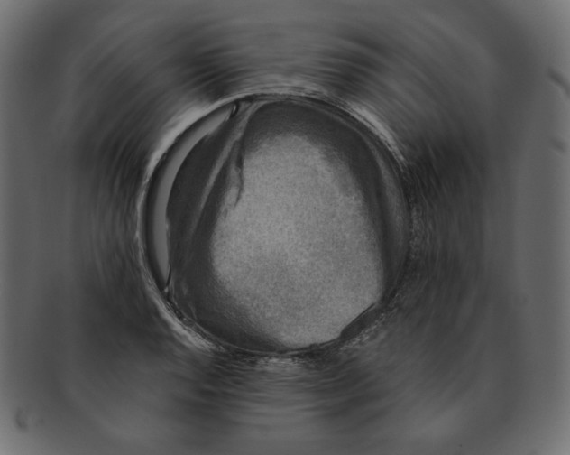 X0000091921128200710031033