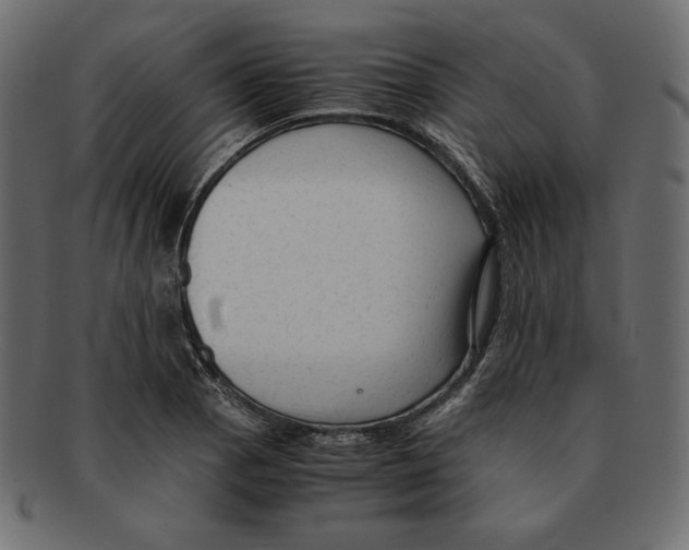 X0000091921129200710031033