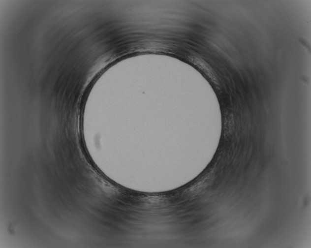 X0000091921130200710031033