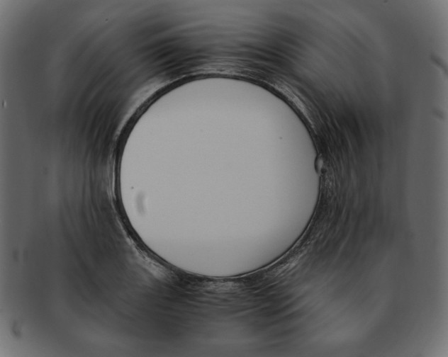 X0000091921131200710031033