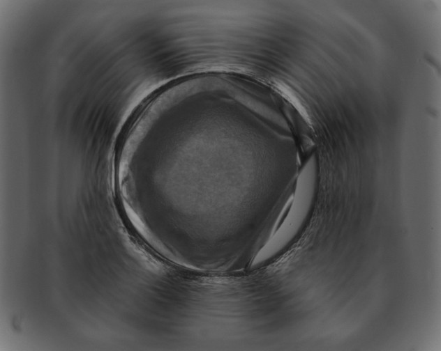 X0000091921132200710031033