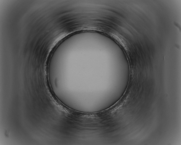 X0000091921133200710031033