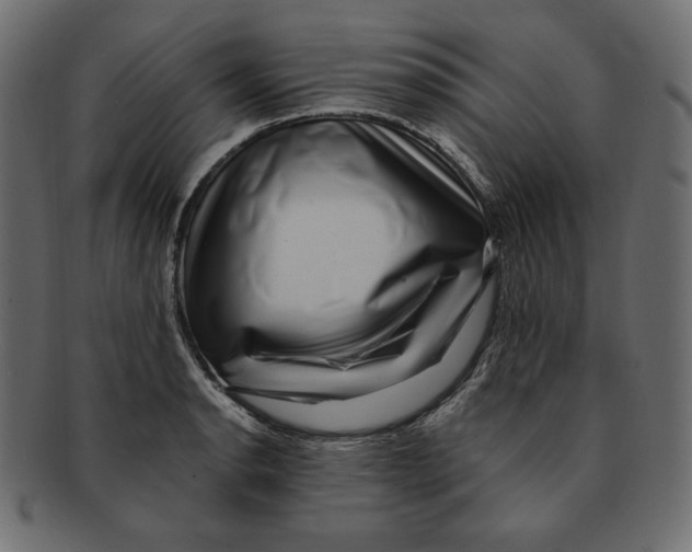 X0000091921134200710031033