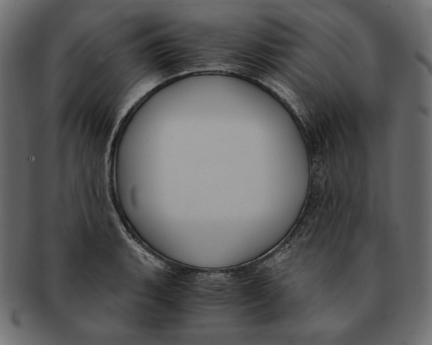 X0000091921135200710031033